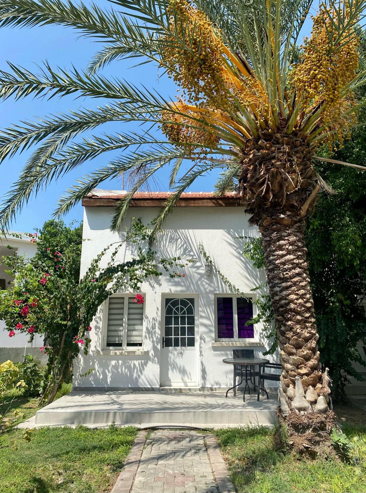 The Prince Inn Hotel & Villas Agios Georgios  Εξωτερικό φωτογραφία