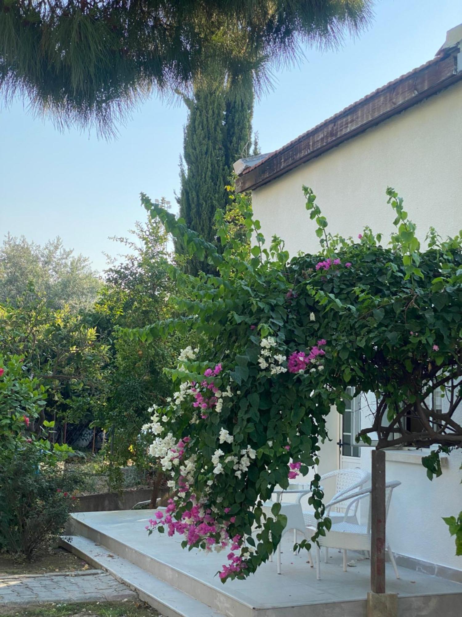 The Prince Inn Hotel & Villas Agios Georgios  Εξωτερικό φωτογραφία